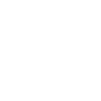 LinkedIn icon